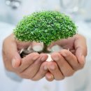 창원토월고등학교 이미지