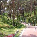 안면도자연휴양림 이미지