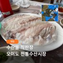 5272 | 오이도 수산물 직판장 후기 | 회 구매부터 초장집 목포양념까지
