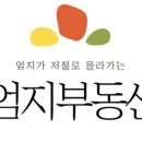 엄지부동산중개사무소 이미지