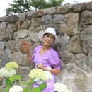 현주팜 Daum카페