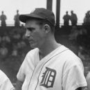 월드타이거즈 이미지