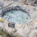 복골온천 애견스파 이미지