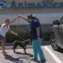 홈종합동물병원 이미지