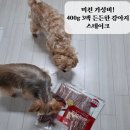 꼬리치는강아지 | 강아지간식, 미친 가성비! 꼬리치는강아지 스테이크 건조간식으로 스트레스 타파