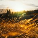 개운한날 이미지