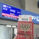 P-5C25 | 나홀로 사이판 다이빙 여행🤿① 프로다이버스 도미토리룸 5박6일 여정 시작❤️ #제주항공 7C3211