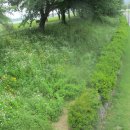 오천그린광장 이미지