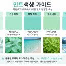 민트색상 이미지