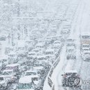 수원시 영통구 경수대로 이미지