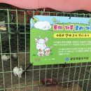 광양제철유치원 이미지