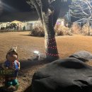 엘림식당 이미지