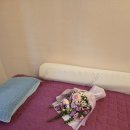 휴안마토피아 이미지