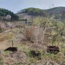 소초농장 이미지