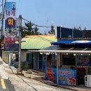 등대지기 | 포항 호미곶 애견동반식당 등대지기 자연산물회 내돈내산 후기