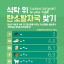 11월의 발자국