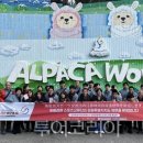 현스포츠 - 중구 다산로47길 15 | 현스포츠