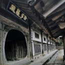 순천-32호 이미지