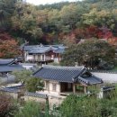 유림-1073 이미지