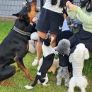 보운농장 이미지