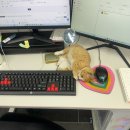 종로-신영-종로-영-434 | 12월 최근일상 &amp; 북촌,성수,문래