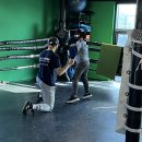 사우스포 복싱클럽 이미지