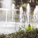 블루밍온 이미지