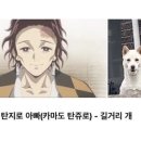 아브니르 이미지