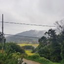 대아초등학교병설유치원 이미지