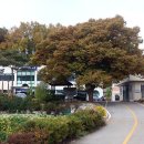 살미면사무소 이미지