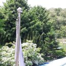 조야분소 이미지