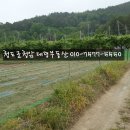 이서면사무소 앞 이미지