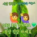 ♤오는18일 휴진한다고♧ 이미지