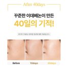 코끼리라이브
