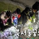 숲에온