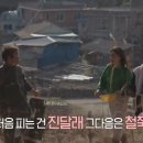 꽃가시나