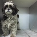 파란종합 동물병원 이미지