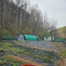 비봉산농장 이미지