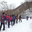 20130203 숲채원,그리고 횡성 임도걷기 이미지