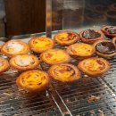 신사 에그타르트 맛집 <나따오비까 신사점> 신사카페 내돈내산 후기