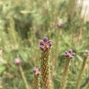 단이농장 이미지