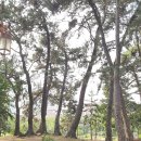 수영사적공원 이미지