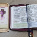 주식회사 헤세드 이미지