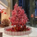 3207 | 여행] 대련여행 숙소/호텔 추천 인터컨티넨탈대련 주니어스위트룸 3박 4일 투숙후기! (Feat.룸 업그레이드)