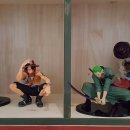 가우리 GAURI 이미지