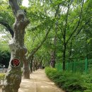 두류공원 스케이트장 이미지