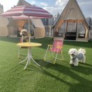 조아파크