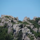 경인동물농장 이미지