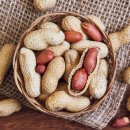 땅콩이네 이미지