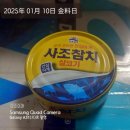 대교참치